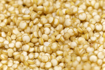 Quinoa close-up macro, selective focus. Food cooking texture