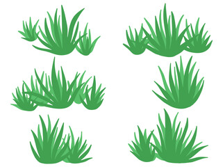 Shrub Bush Illustration
