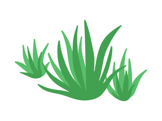 Shrub Bush Illustration
