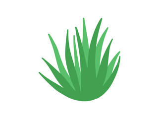 Lush Green Grass Landscape Illustration
