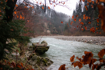 Misty Autumn Beauty: Schwarzwasser-Br&uuml;cker near Schwarzenburg, Bern, Switzerland