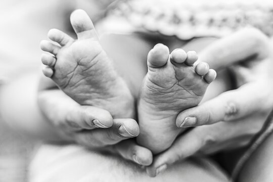 Little baby feet in the hands of a parent. Black and white photo close up view