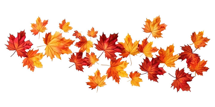 isolated on white or transparent background cutout. Generative AI