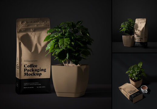 3 Coffee Gusset Pouch Mockup with Arabica Tree. Packaging Bag 