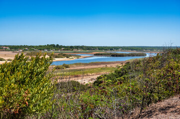 Expansive sandy Melides beach in the Alentejo region of Portugal with calm waters and a clear blue sky. Peaceful coastal scene.