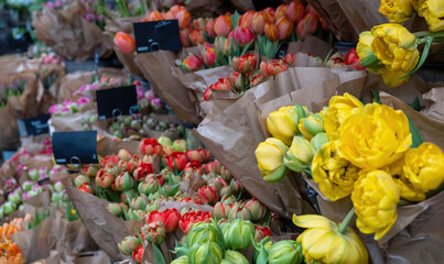 tulip market stall, flower bouquets in metal buckets