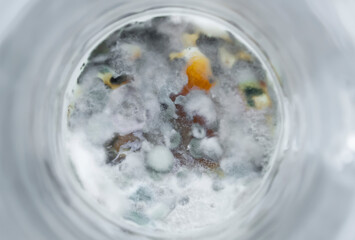 Mold in a glass close-up. Mold started up in the glass vessel. Mold from food, fungus.