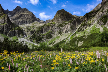 Summer in the High Tatra mountains landscape