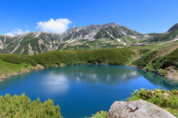 Fototapeta na wymiar Northern Alps Murodo and Mikurigaike Pond in early summer
