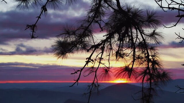 Nature landscape of mountains with pine viwe foreground.  Sunrise and mist in valley like neon lights. 