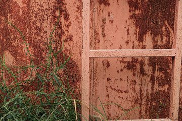 fire department training center old rusty metal wall with ladder and green plant growing, life...