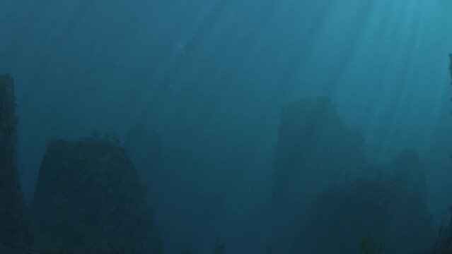 Underwater is motion footage for seasonal films and cinematic in nature scene. Also good background for scene and titles, logos