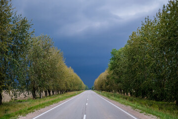Fototapeta na wymiar A lonely road in the summer before a threatening storm. Storm in summer. thunder clouds.