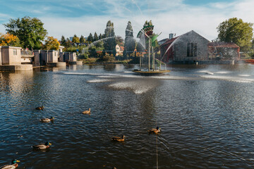 Ducks on the lake in the park. Park in the fall. Autumn trees. Wild ducks are reflected in the lake. Multi-colored bird feathers. A pond with wild ducks and drakes. A duck lake full of beautiful ducks