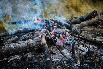 Bonfire on nature. The fire in the camp. Burning wood for a barbecue. 