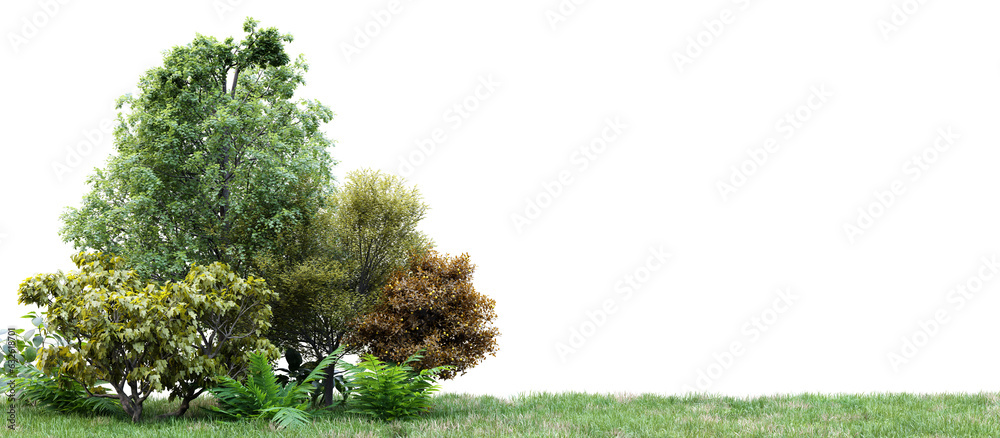Poster group of tree isolated on transparent background 3d rendering png