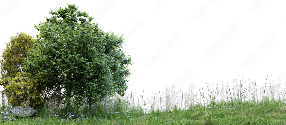 Poster group of tree isolated on transparent background 3d rendering png
