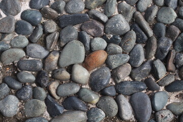 Smooth round pebbles texture background, dark wet pebble and gray dry pebble.