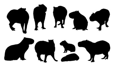 Capybara silhouette set. Adult capybaras and baby Hydrochoerus hydrochaeris in different poses. Wild animals of South America. vector animal