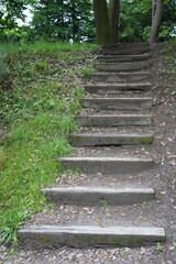 Rustic wooden steps on a forest walk in Derbyshire, UK