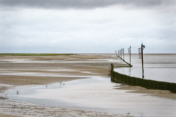 Baie de somme