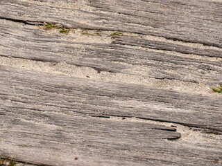 wooden footpath in the sandy dune. Close up of wood plank