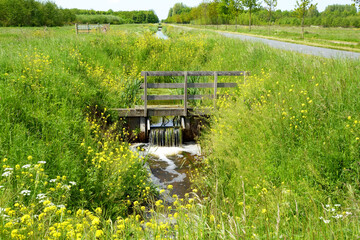 Small water management infrastructure in canals in dutch polder landscape, 