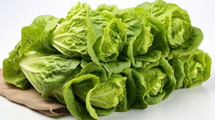 fresh green lettuce, ai generative