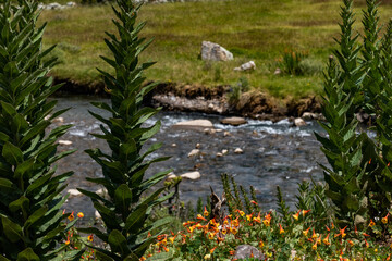 Sierra de Lima, Cordillera del Pariacaca