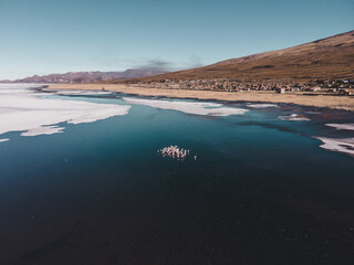 Imagen de drone del borde del salar de uyuni con flamencos en una lagunilla