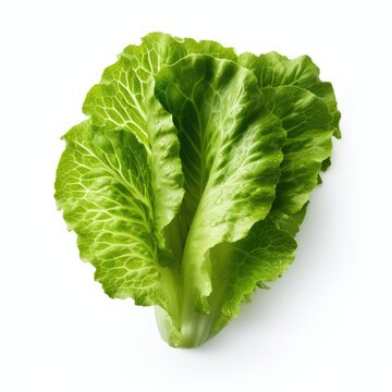 lettuce leaf isolated on white generative AI