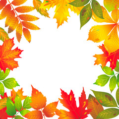 Naklejka na ściany i meble Frame of Seasonal banners of autumnal leaves