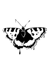 Fototapeta premium Gemalter Schmetterling