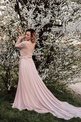 Fototapeta premium A woman in long pink dress stands near cherry blossom. Spring Blooming Garden.