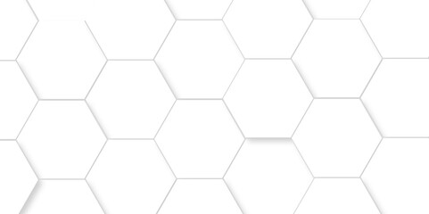 Background with white and black lines 3d Hexagonal structure futuristic white background and Embossed Hexagon , honeycomb white Background ,light and shadow ,Vector.