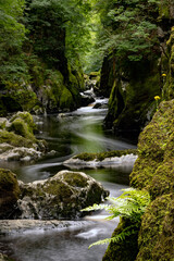 Fairy Glen, a mountain river tumbling over rocks through a narrow gorge, Snowdonia, Wales; Ffos Anoddun in Welsh