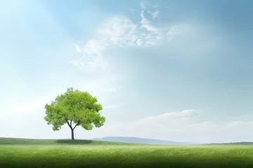 Gartenposter Green tree on green meadow with blue sky and white clouds background © Tida