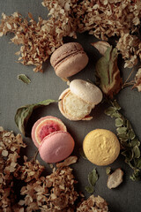 Macaroons with dried flowers.