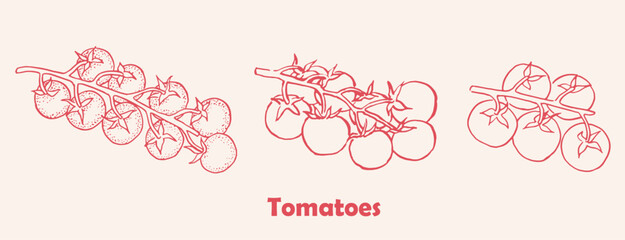 Tomatoes, tomato branch , logo , cherry tomatoes , drawing, package design element, vector illustration, red vegetables , package logo - obrazy, fototapety, plakaty