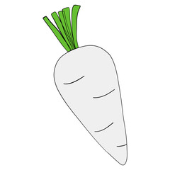 Radish