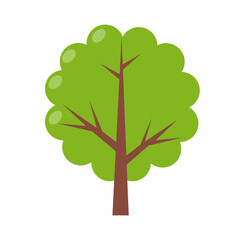 Tree Flat Element