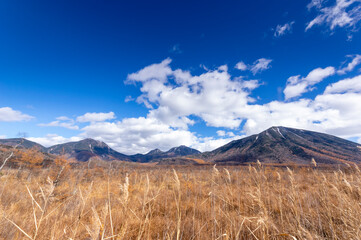 奥日光戦場ヶ原のハイキングコースの景色