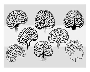 Brain svg, Human Brain Svg, Brain Silhouette, Organ Svg, Human Brain Clipart Svg, Medical Clipart, Mental Health Svg, Brians Vector Images, Human Mind Science, Brain Cut File, Medical Svg, Brain Png, 