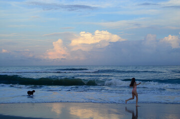 Puppy play on the beach