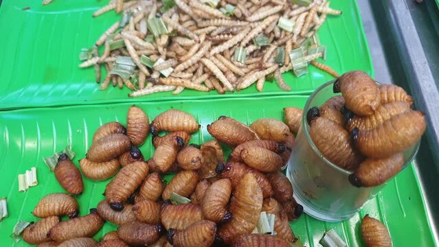 Larva palm and bamboo worm weevil deep fried fat insect snack sell exotic food in Southeast Asia market