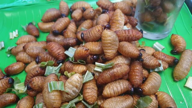 Larva palm worm weevil deep fried insect snack sell exotic food in Southeast Asia market