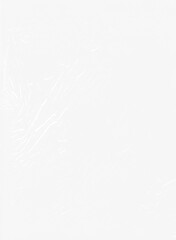 Texture plastique transparente png. Texture d'Emballage Réaliste Ressources Design Graphique