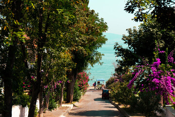 Naklejka premium street in the city