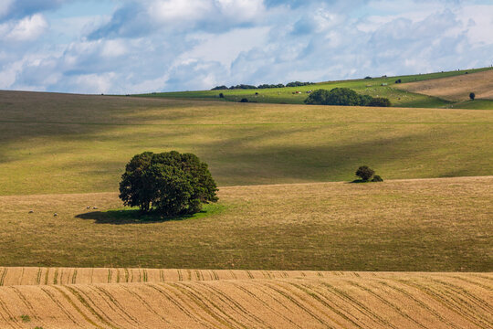 A view over fieds in rural Sussex, near Stanmer Down