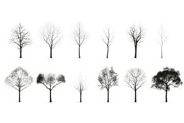 Obraz premium Set / Collection of Black and white trees isolated on transparent background PNG cutout , generative AI